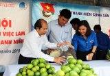 Đoàn trường DLA: tham gia Phát động đoàn viên thanh niên khởi nghiệp từ đề án mỗi xã một sản phẩm 2019 - 2020