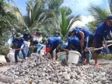 Sức trẻ DLA với Mùa hè xanh tình nguyện