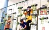 Công trình thanh niên “Màu xanh DLA” năm 2020.
