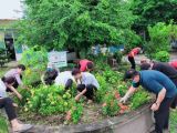 Công trình thanh niên Màu xanh DLA lần 4 2020
