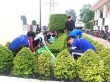 Đoàn viên, sinh viên DLA thực hiện chăm sóc công trình Nghĩa trang liệt sỹ tỉnh Long An chào mừng Đại hội đại biểu Đảng bộ tỉnh Long An lần thứ XI