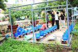 SINH VIÊN NGÀNH KHOA HỌC MÁY TÍNH VỚI MÔ HÌNH TƯỚI CÂY THÔNG MINH