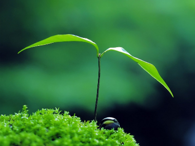 Luật bảo vệ môi trường. Bạn có biết?