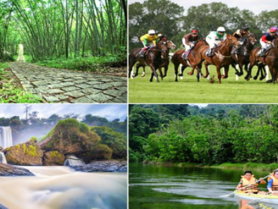Thông báo tổ chức hoạt động ngoại khoá năm học 2023-2024: “Khám phá núi rừng Madagui”